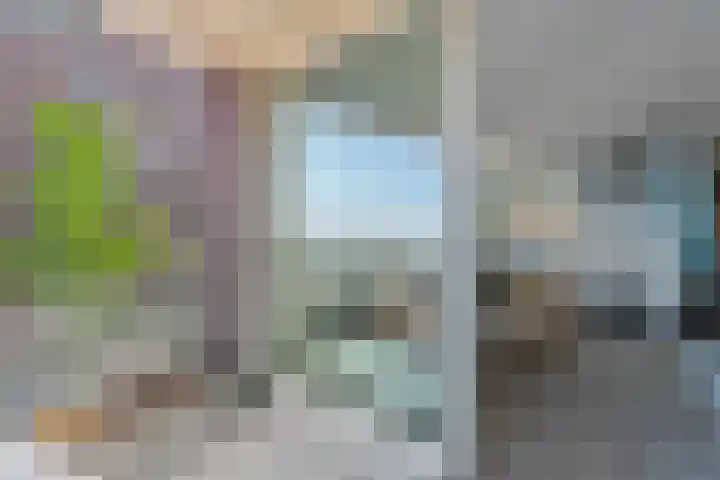 Cas Oorthuyskade 298 Amsterdam thumbnail 12