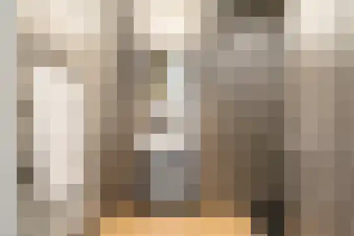 Cas Oorthuyskade 298 Amsterdam thumbnail 17