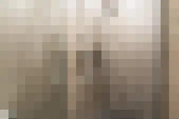 Cas Oorthuyskade 298 Amsterdam thumbnail 20