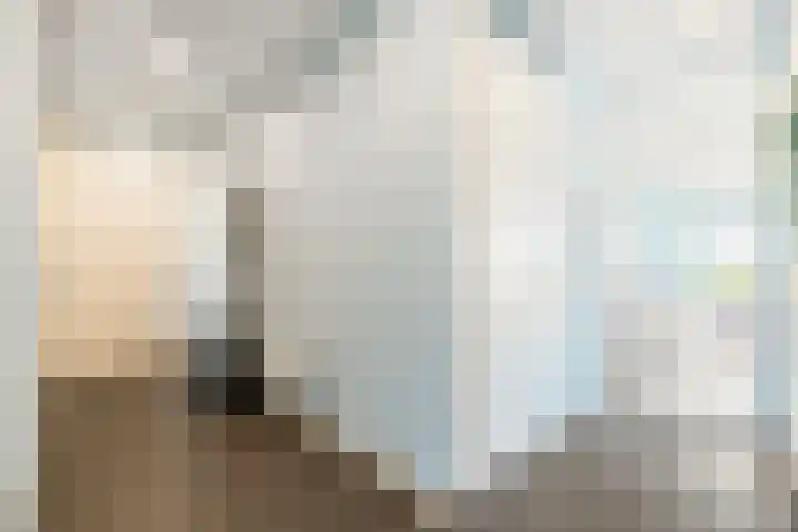 Cas Oorthuyskade 298 Amsterdam thumbnail 22