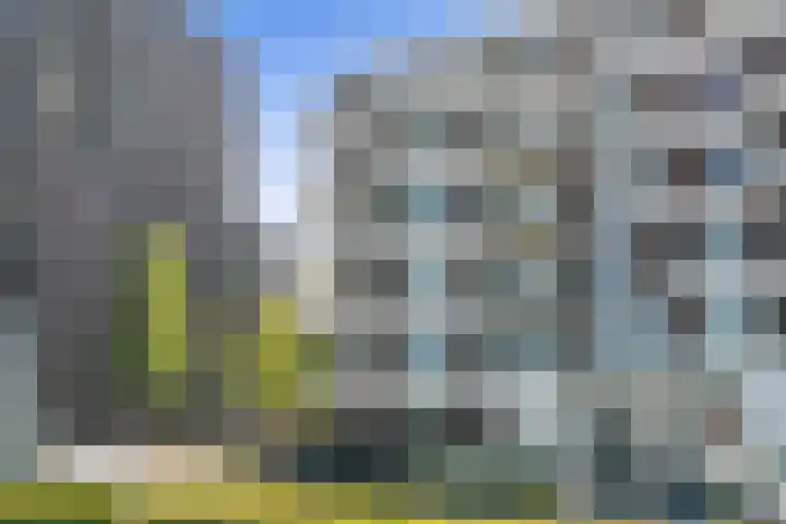 Cas Oorthuyskade 298 Amsterdam thumbnail 34