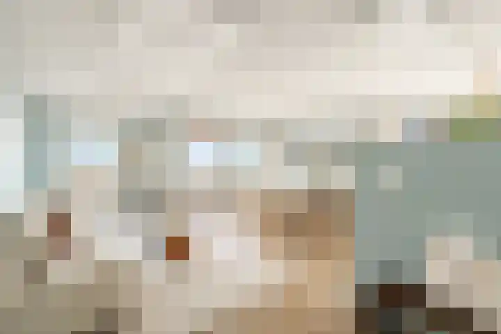 Cas Oorthuyskade 298 Amsterdam thumbnail 9