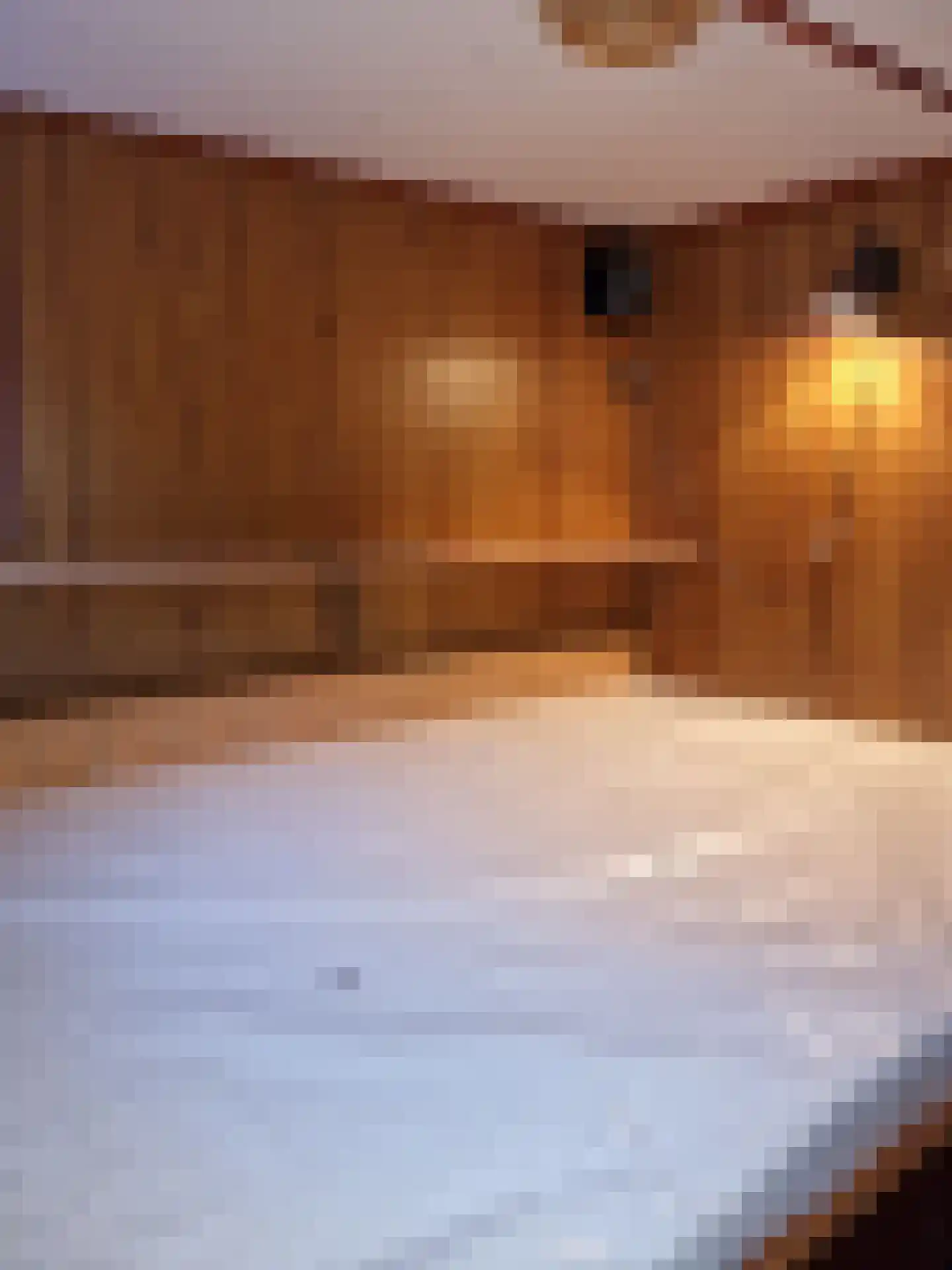 Cas Oorthuyskade 7 Amsterdam thumbnail 18