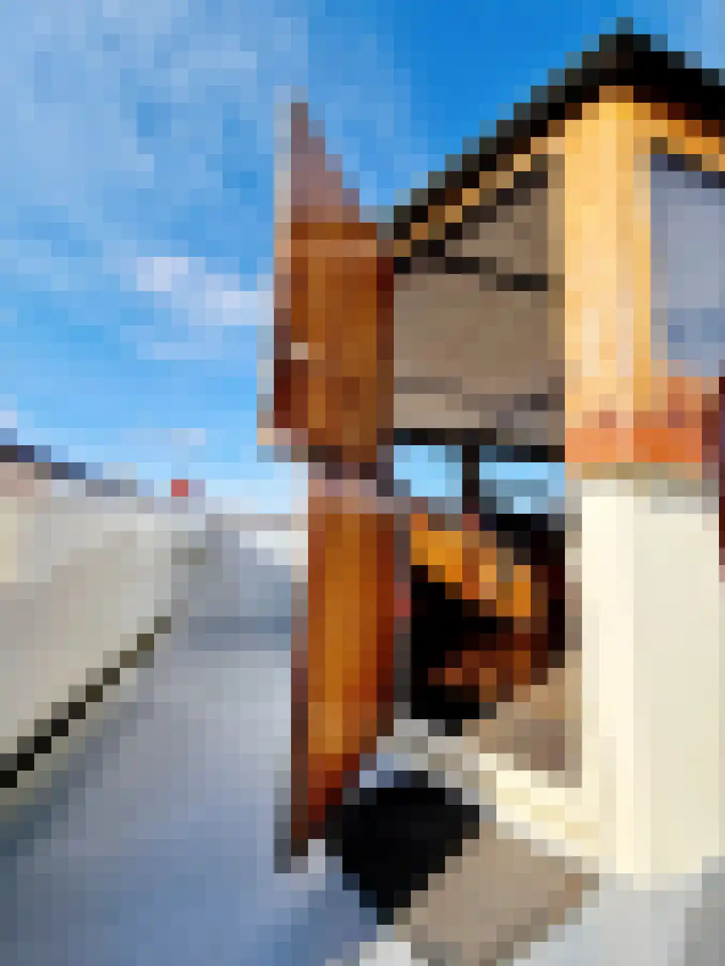 Cas Oorthuyskade 7 Amsterdam thumbnail 9