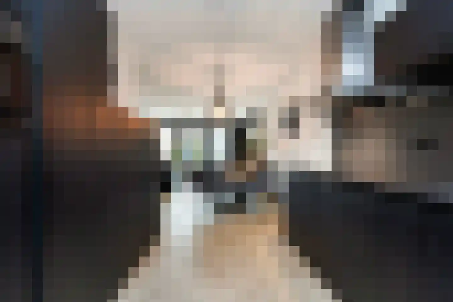 Cascade 24 Dordrecht thumbnail 20