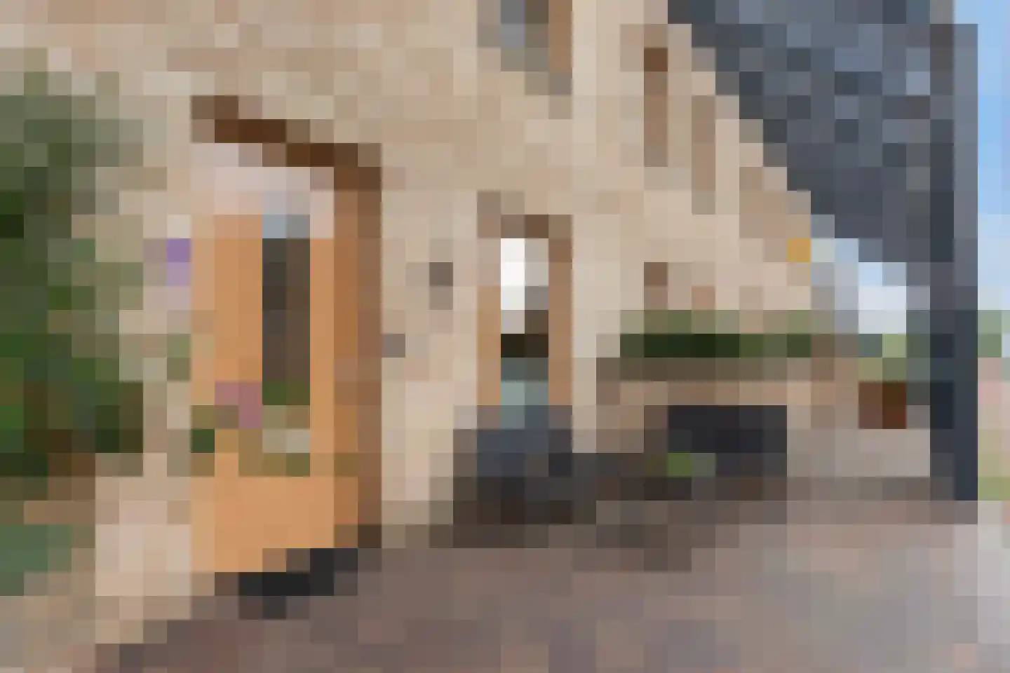 Cascade 24 Dordrecht thumbnail 5