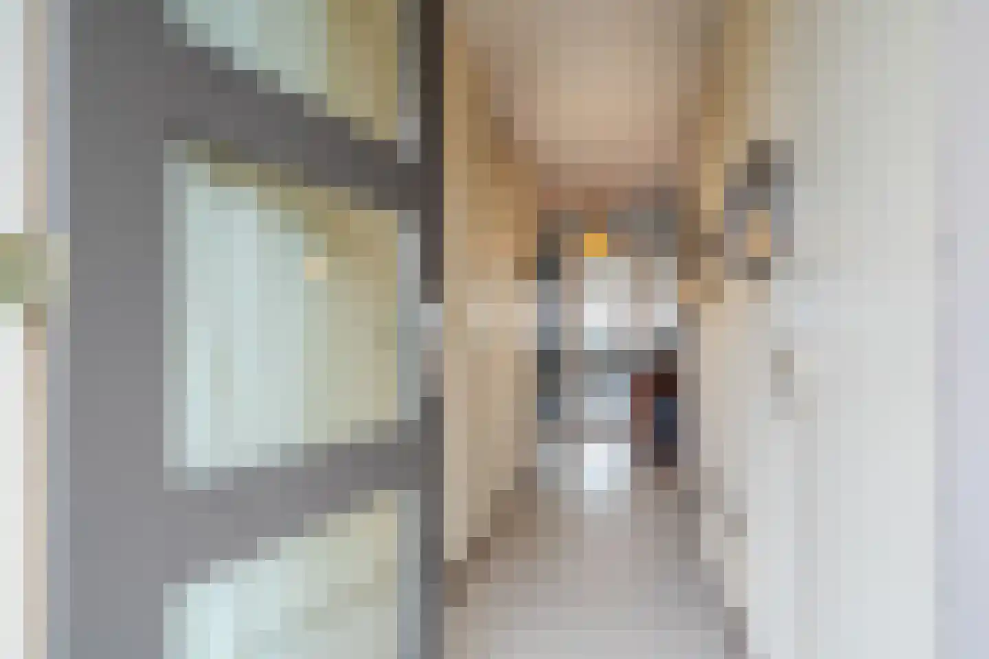 Cascadeborg 16 Harkstede thumbnail 10