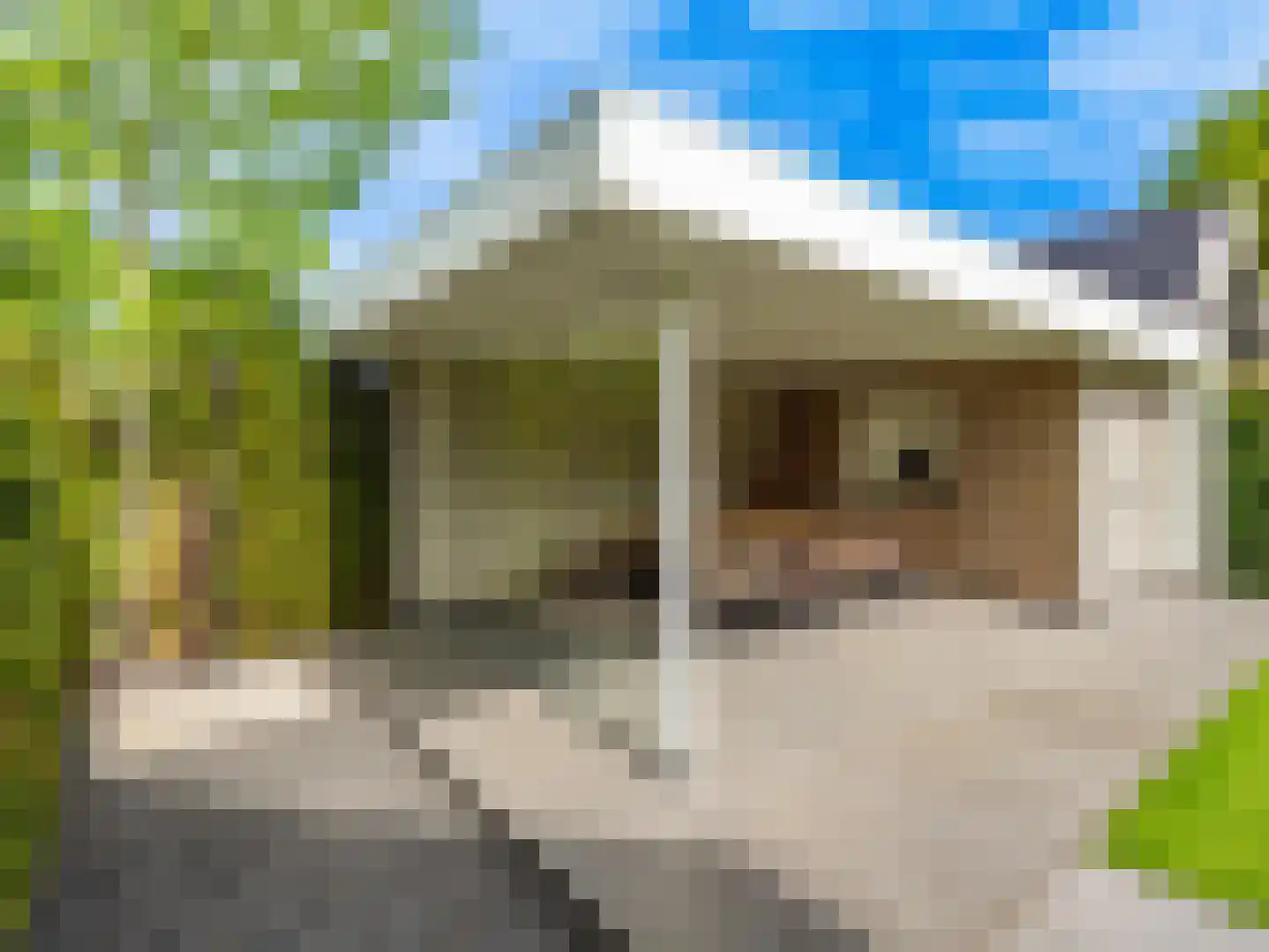 Cascademuur 1 Houten thumbnail 28