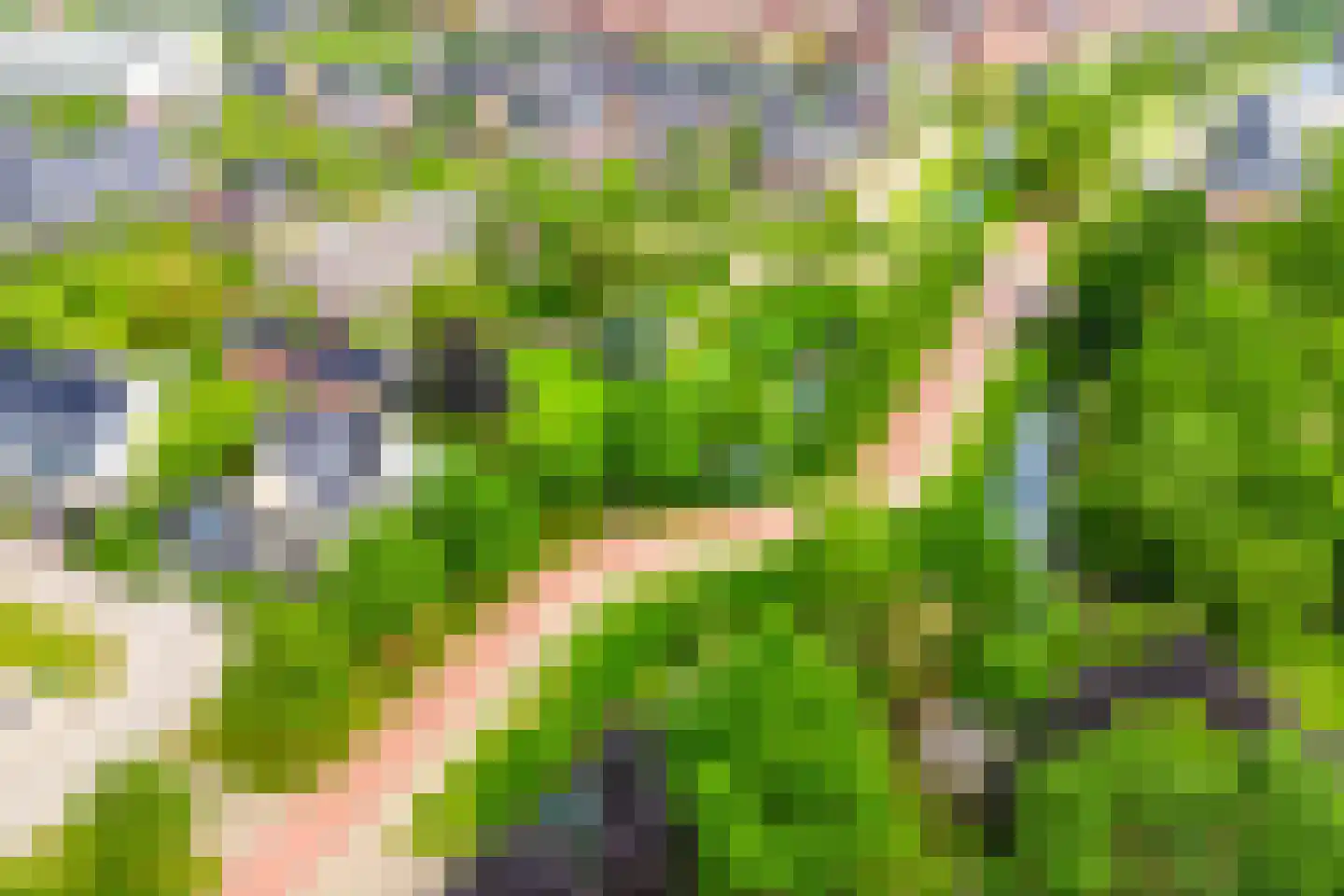 Cascademuur 1 Houten thumbnail 56
