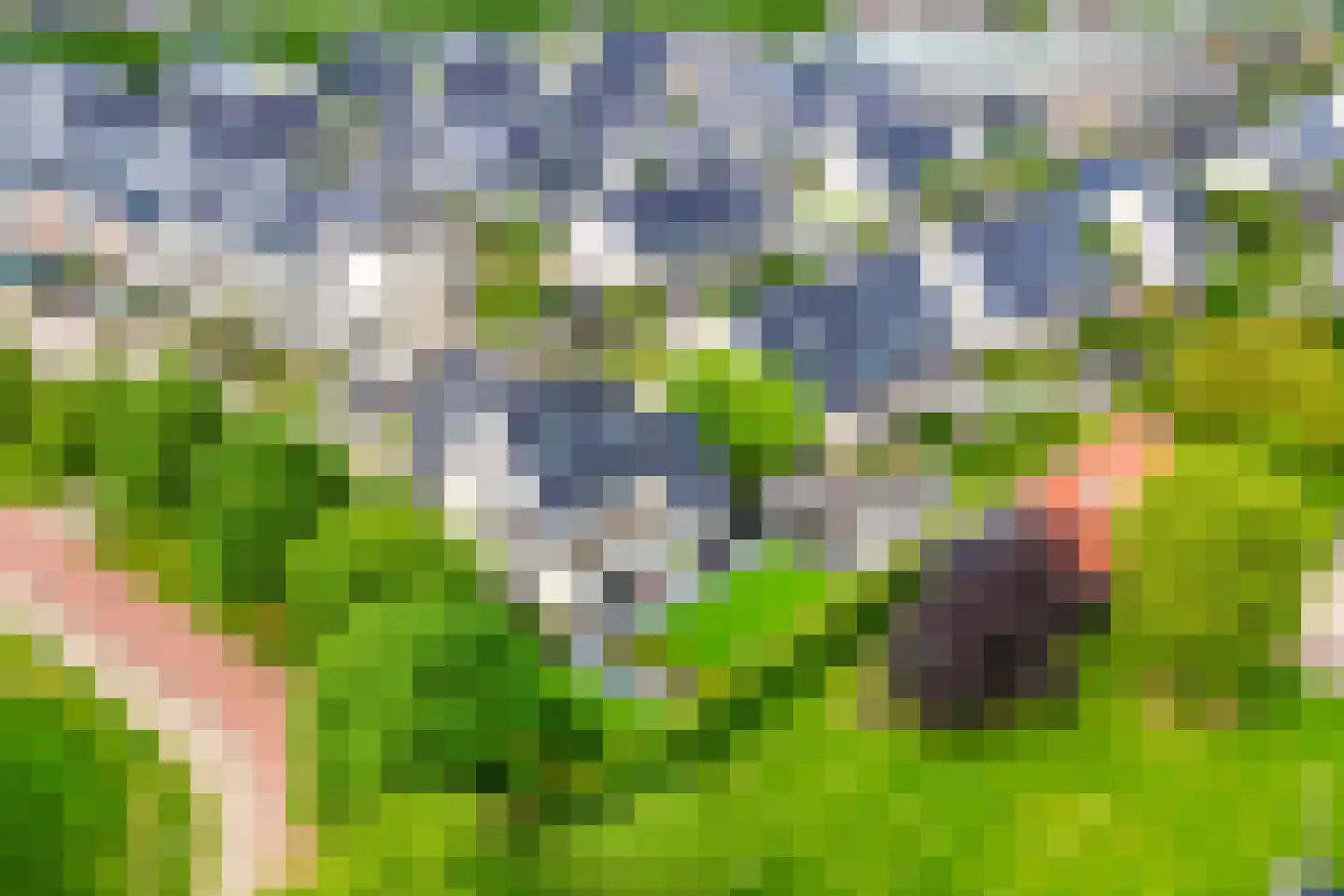 Cascademuur 1 Houten thumbnail 58