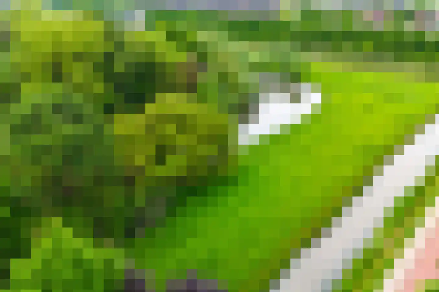 Cascademuur 1 Houten thumbnail 61