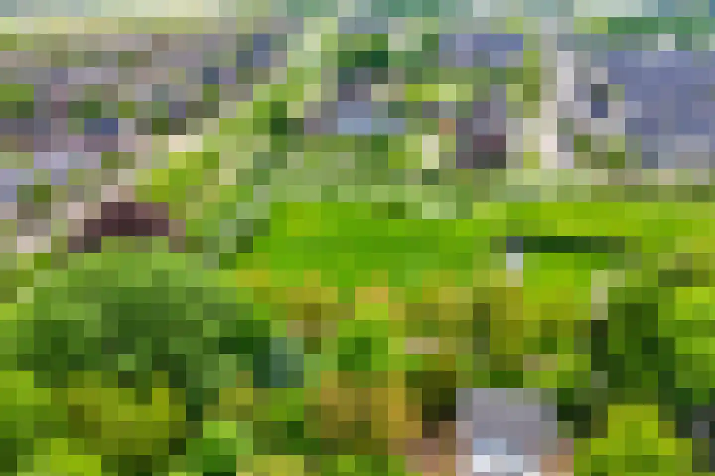 Cascademuur 1 Houten thumbnail 62