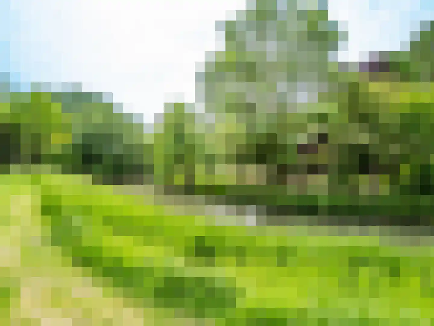 Cascademuur 1 Houten thumbnail 63