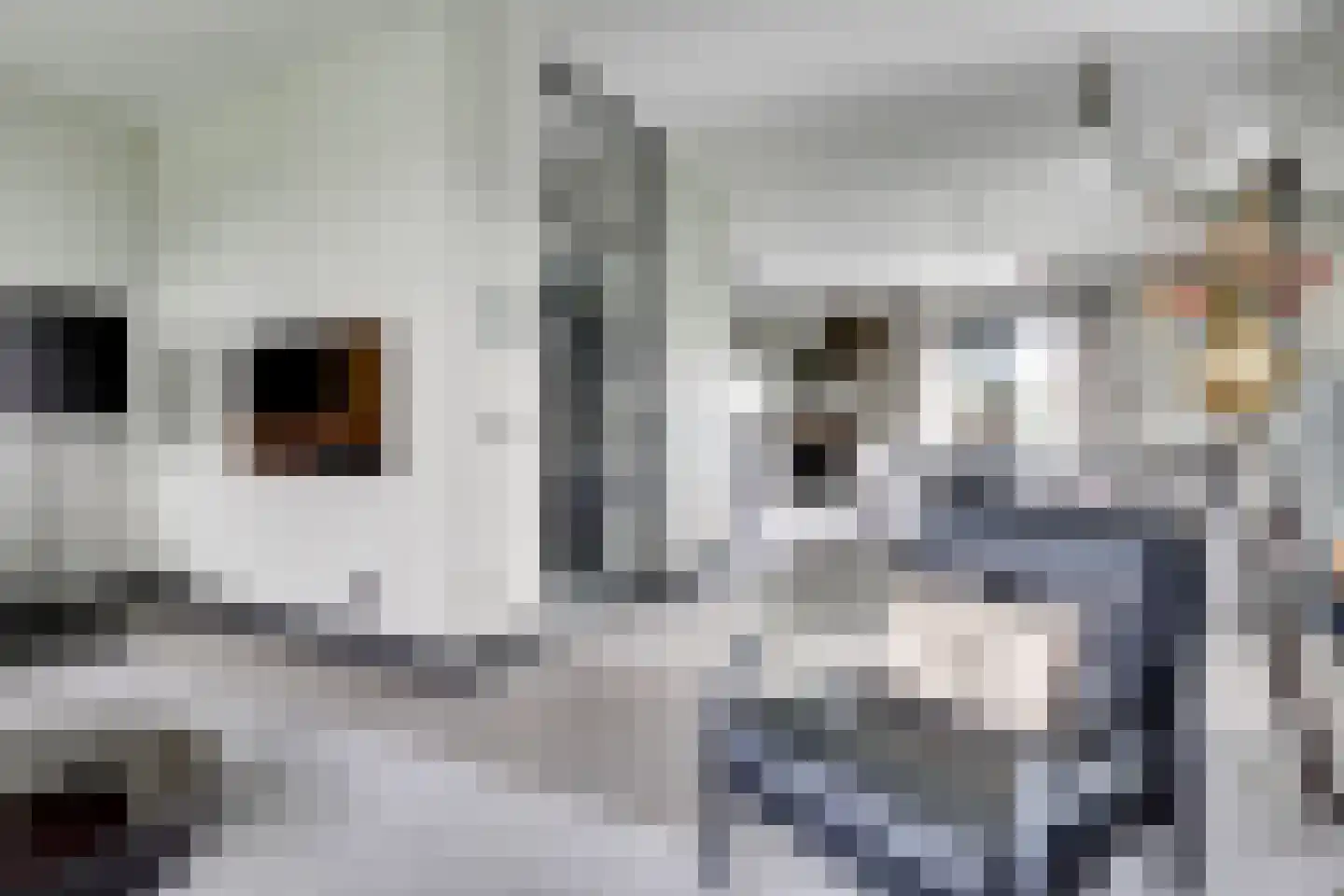 Cascademuur 1 Houten thumbnail 7