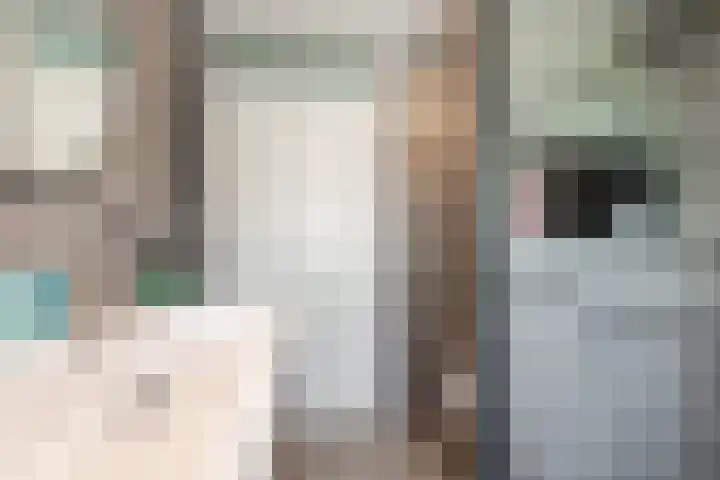 Cascademuur 70 Houten thumbnail 31