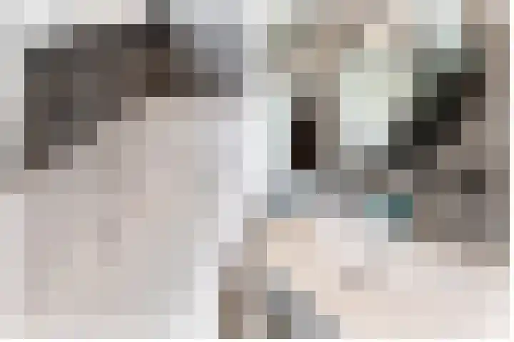 Cascademuur 70 Houten thumbnail 34