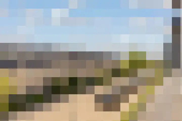 Cascademuur 70 Houten thumbnail 42