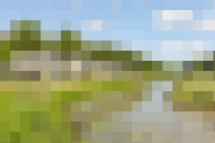 Cascademuur 70 Houten thumbnail 54
