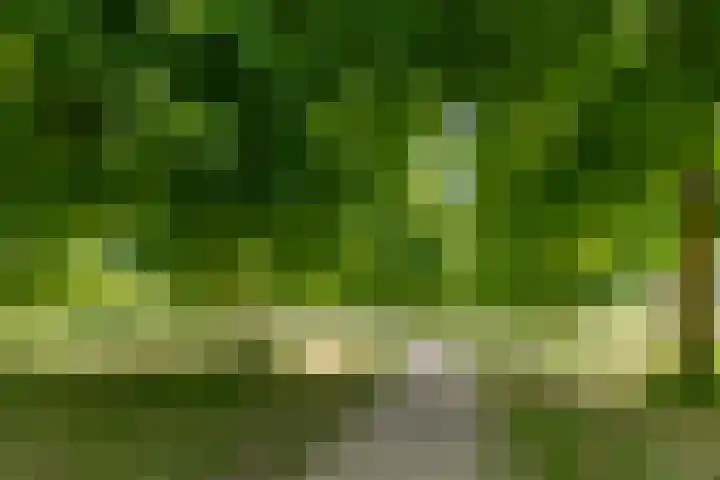 Cascademuur 70 Houten thumbnail 55
