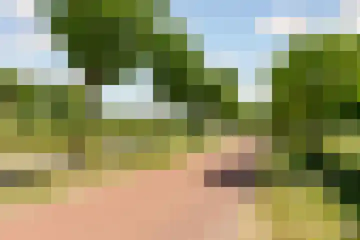 Cascademuur 70 Houten thumbnail 56