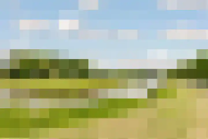 Cascademuur 70 Houten thumbnail 57