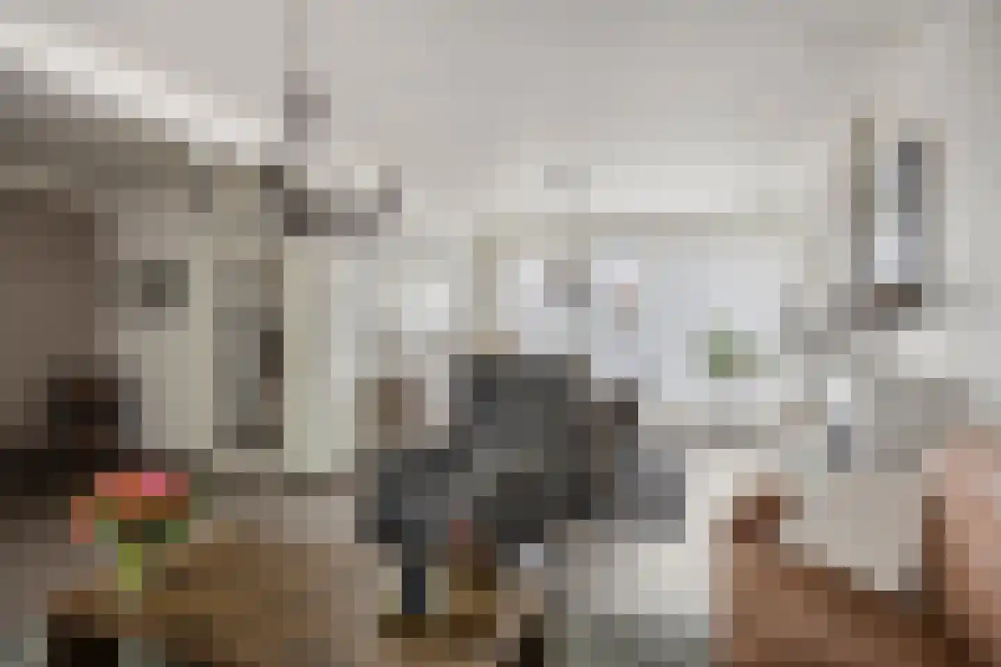 Casellastraat 1 C Eindhoven thumbnail 15