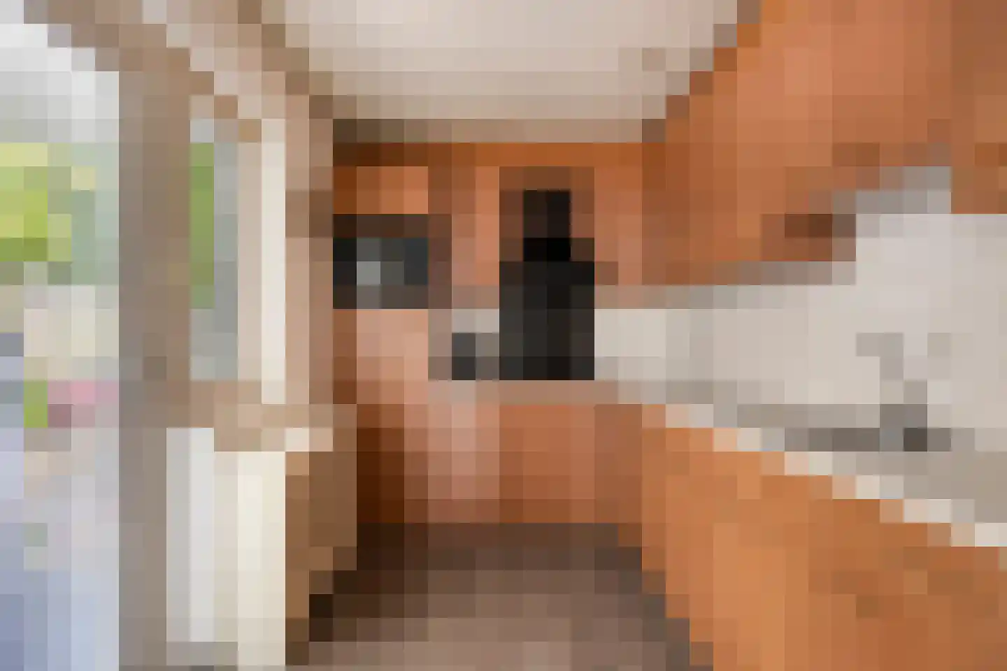 Casellastraat 1 C Eindhoven thumbnail 21
