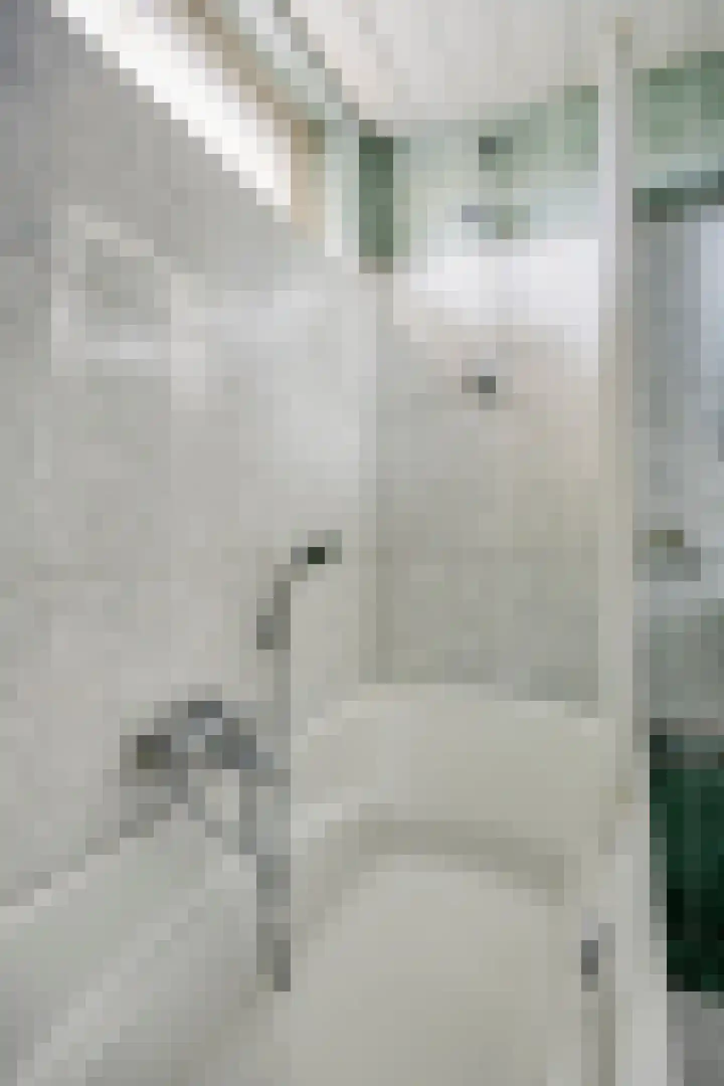 Casellastraat 1 C Eindhoven thumbnail 34