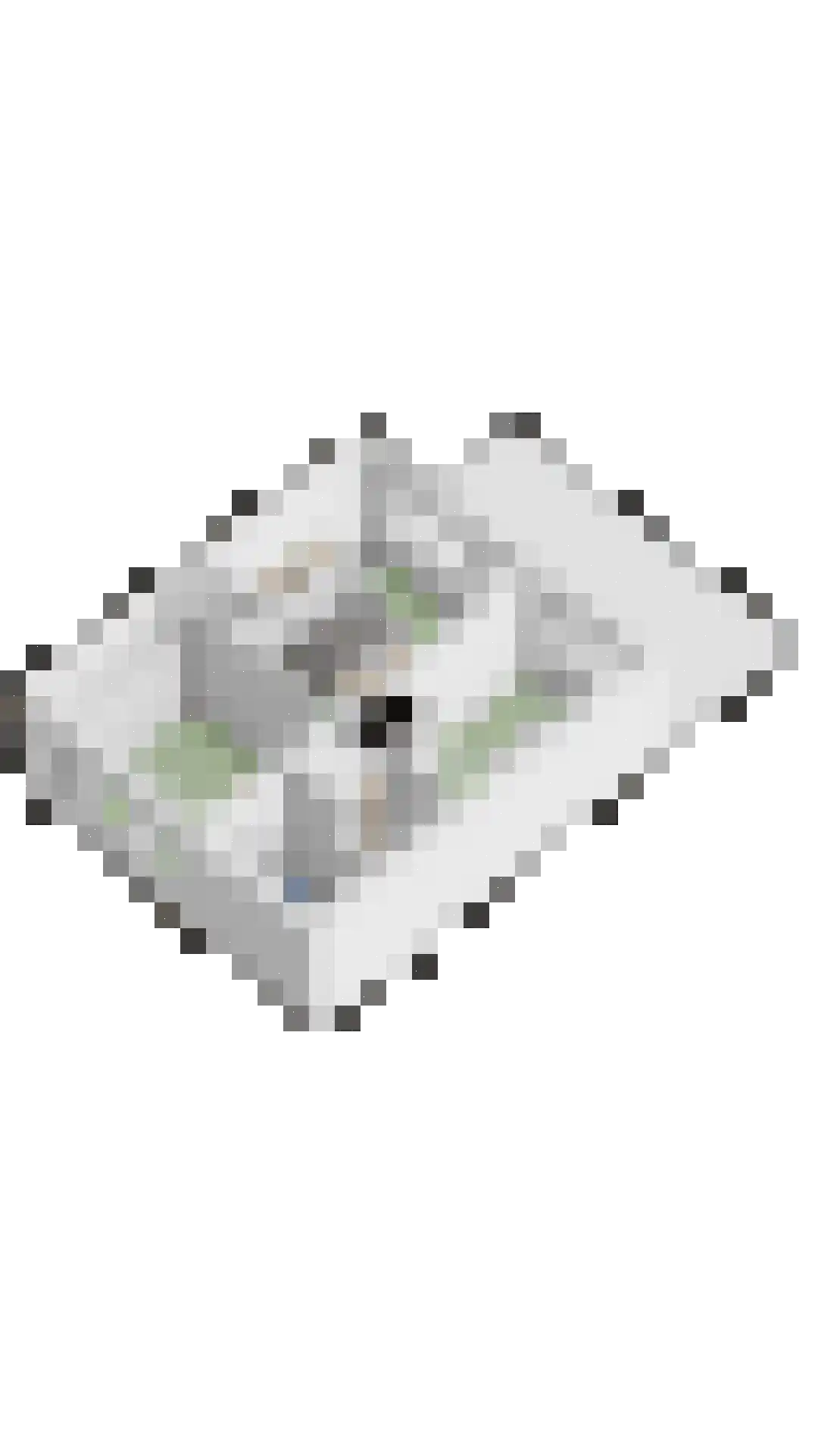 Casellastraat 1 C Eindhoven thumbnail 60