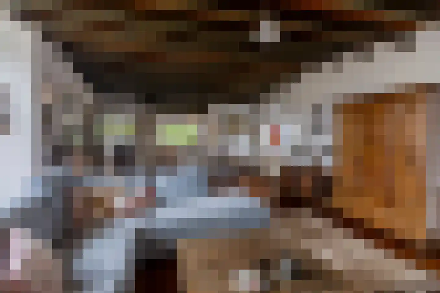 Casembrootlaan 12 A Poeldijk thumbnail 11