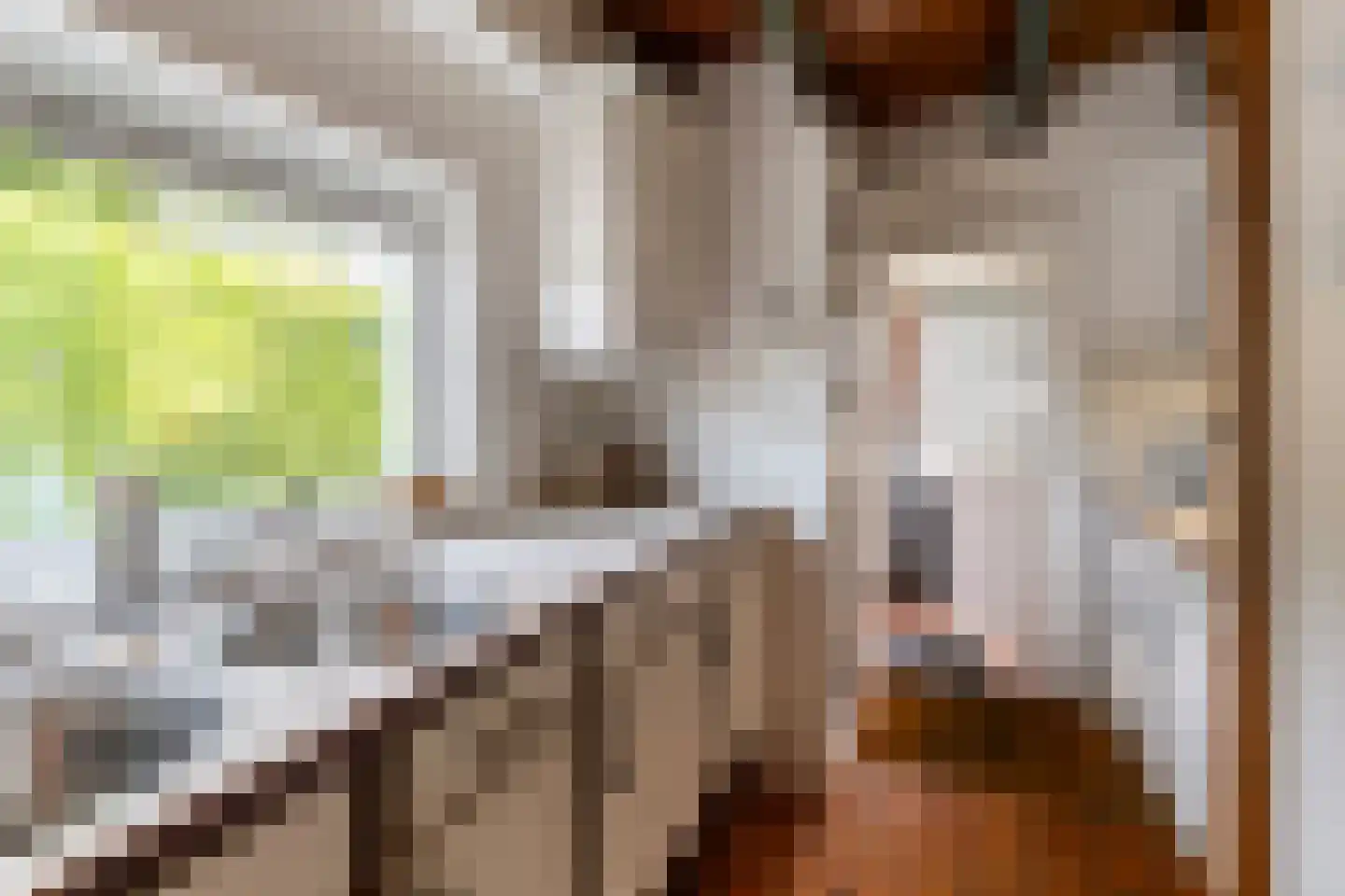 Casembrootlaan 12 A Poeldijk thumbnail 20