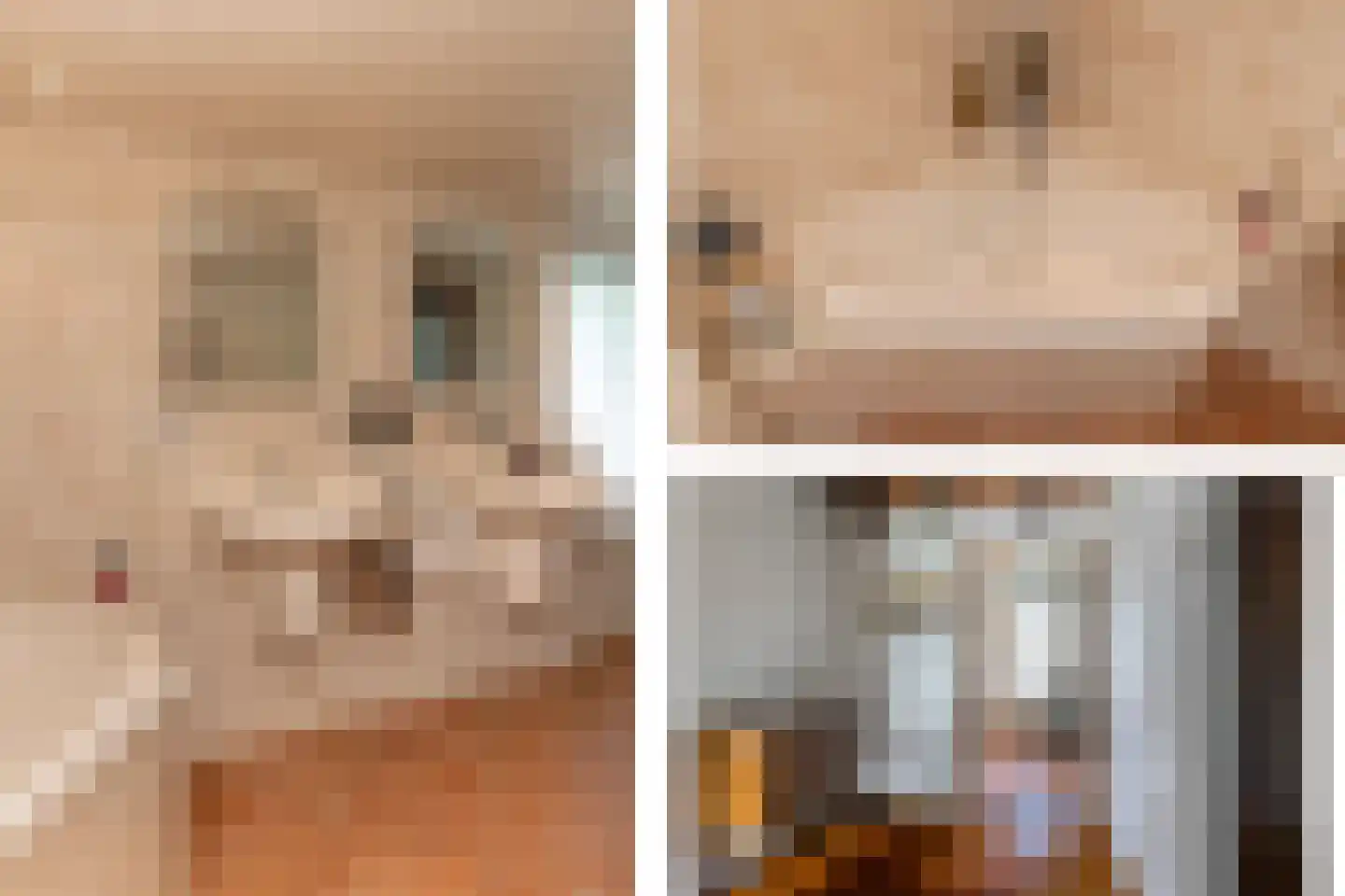 Casembrootlaan 12 A Poeldijk thumbnail 33