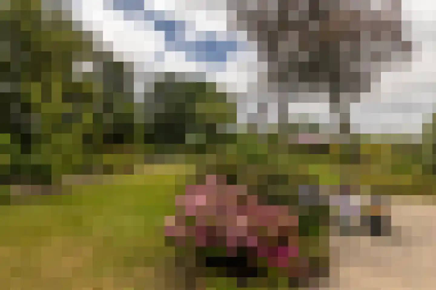Casembrootlaan 12 A Poeldijk thumbnail 38