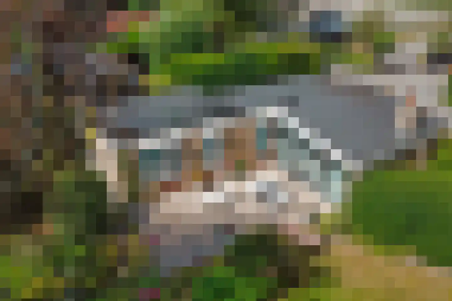 Casembrootlaan 12 A Poeldijk thumbnail 4