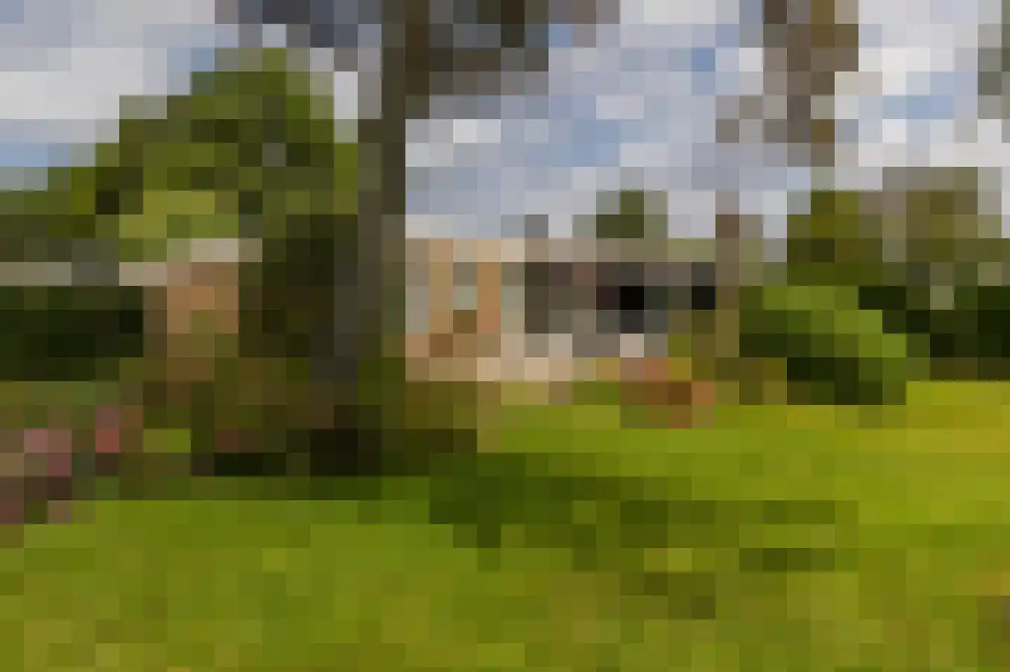 Casembrootlaan 12 A Poeldijk thumbnail 41