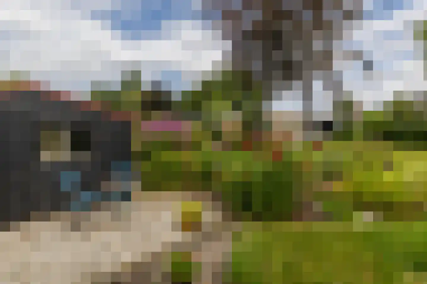 Casembrootlaan 12 A Poeldijk thumbnail 42