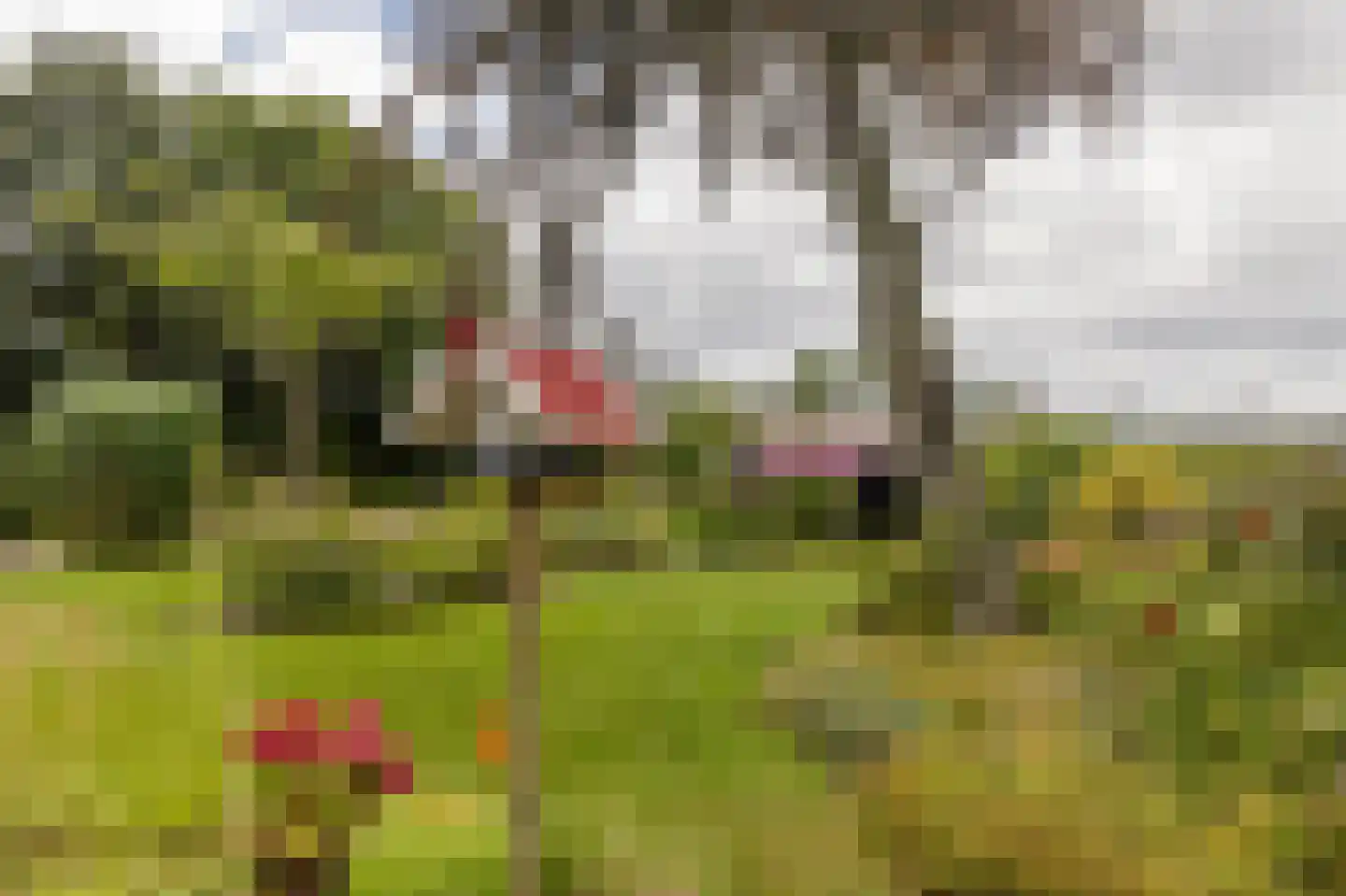 Casembrootlaan 12 A Poeldijk thumbnail 43