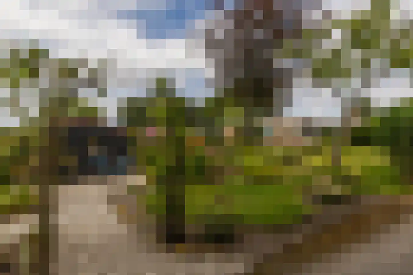 Casembrootlaan 12 A Poeldijk thumbnail 47