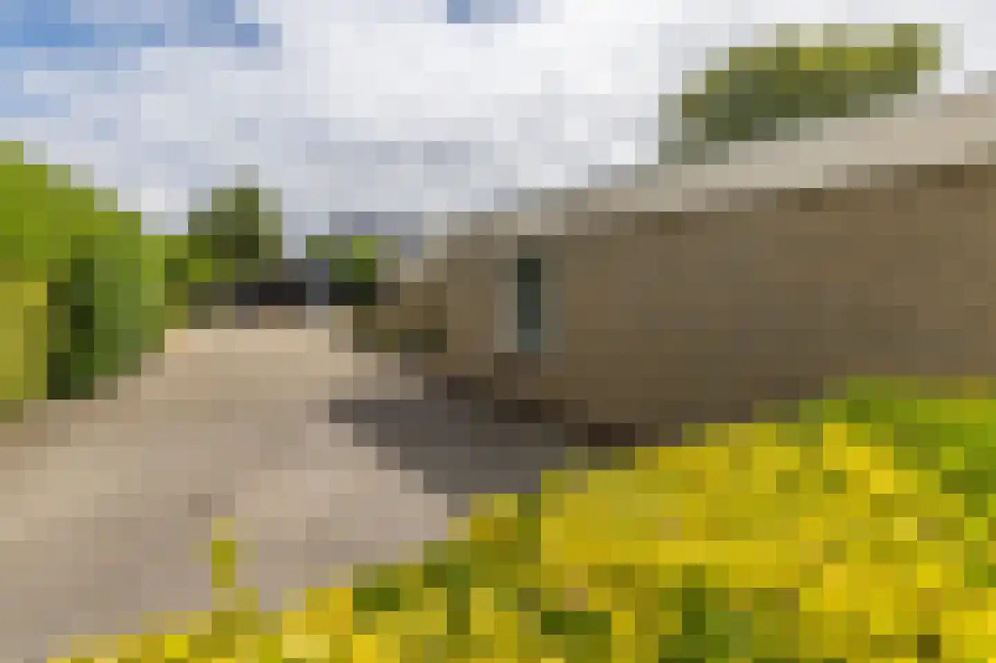 Casembrootlaan 12 A Poeldijk thumbnail 51