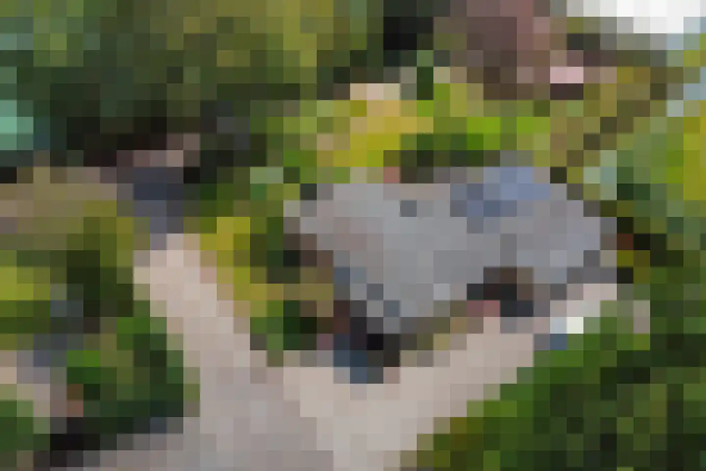 Casembrootlaan 12 A Poeldijk thumbnail 52