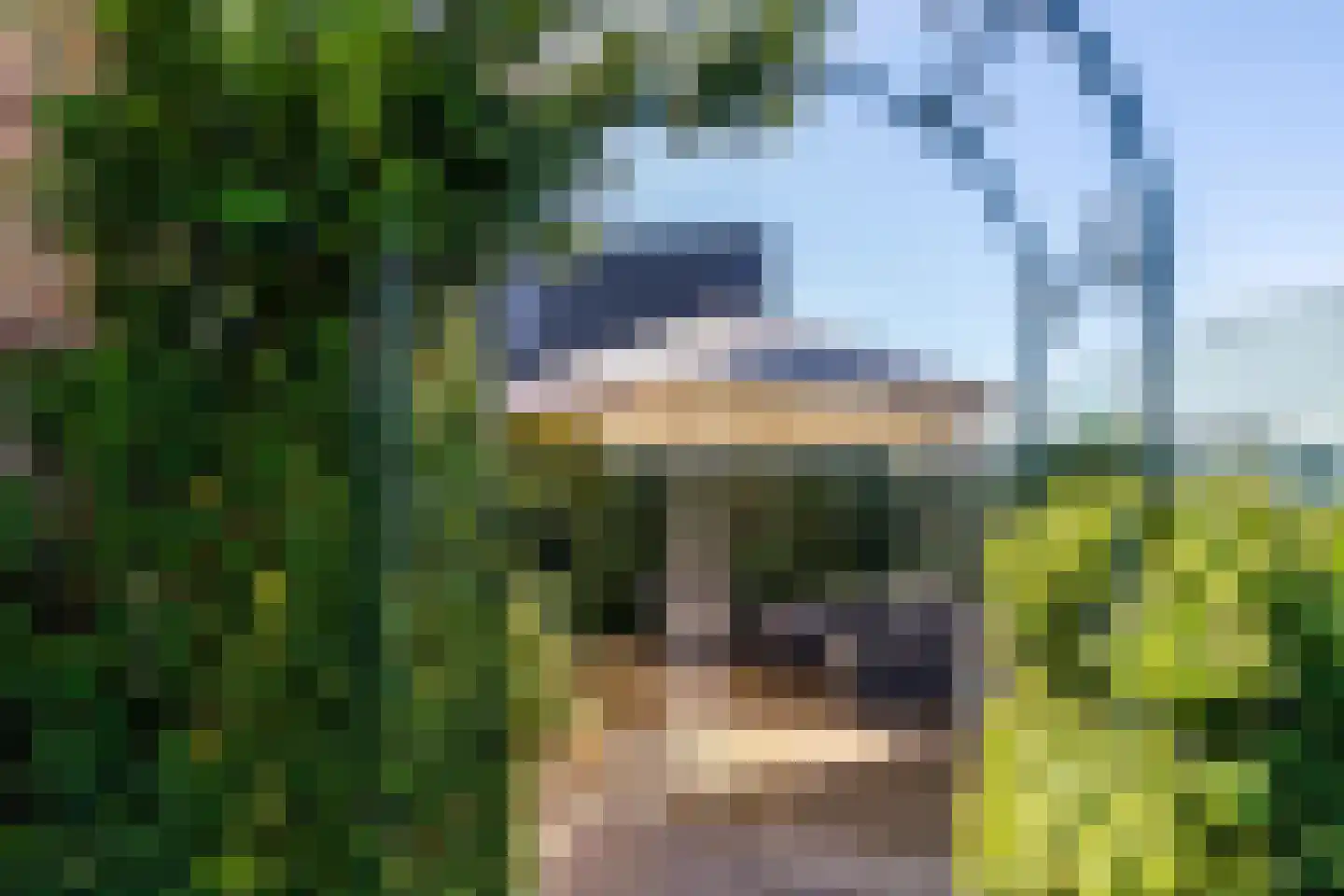 Casembrootlaan 33 Poeldijk thumbnail 37