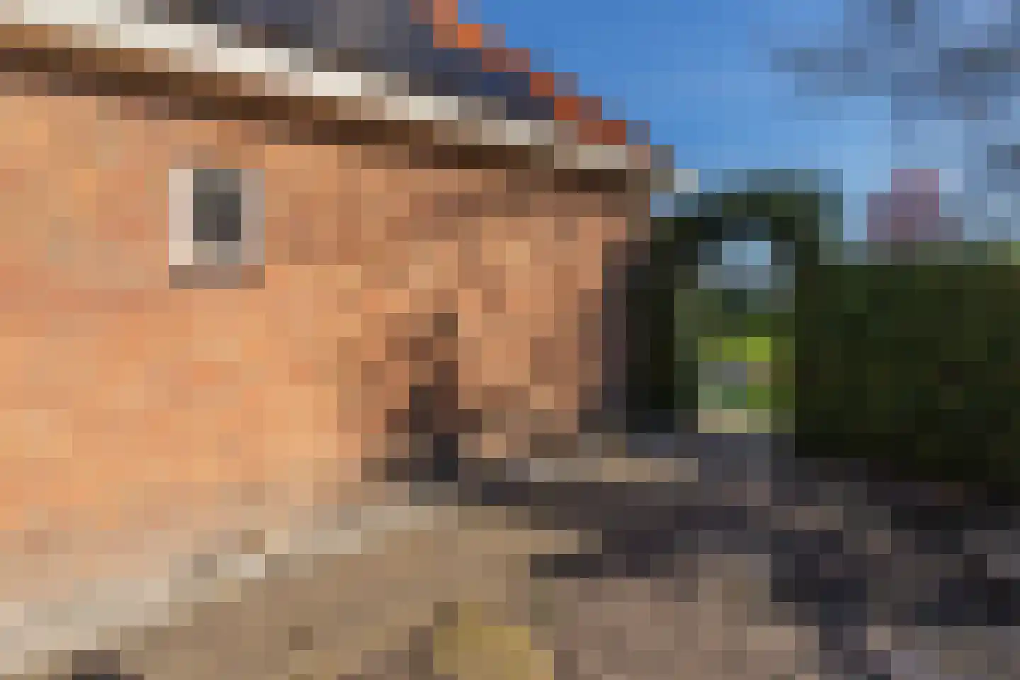 Casembrootlaan 33 Poeldijk thumbnail 39