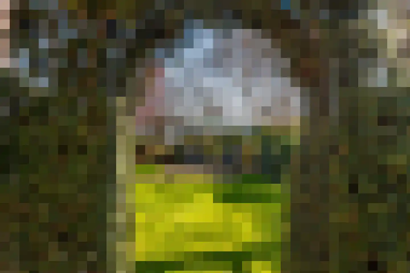 Casembrootlaan 33 Poeldijk thumbnail 40