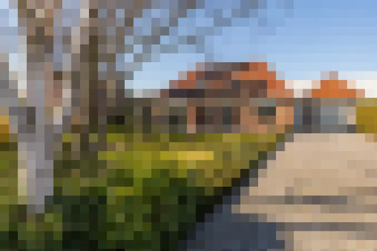 Casembrootlaan 33 Poeldijk thumbnail 47