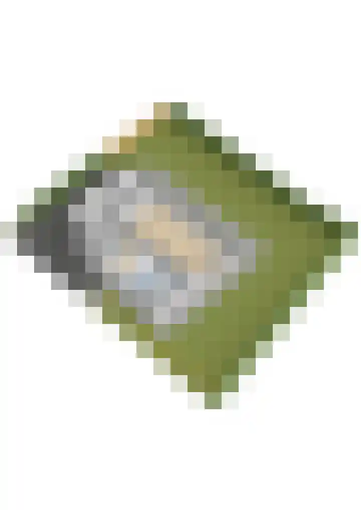 Casembrootlaan 5 C Poeldijk thumbnail 101