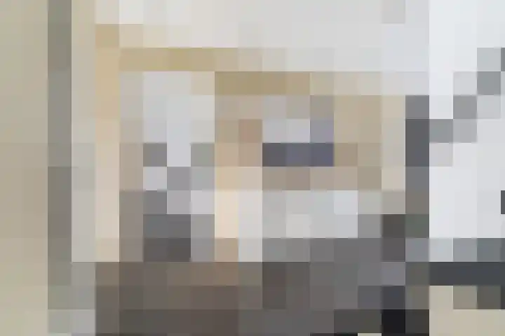 Casembrootlaan 5 C Poeldijk thumbnail 13