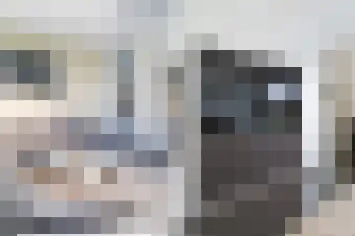 Casembrootlaan 5 C Poeldijk thumbnail 22