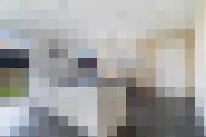Casembrootlaan 5 C Poeldijk thumbnail 27