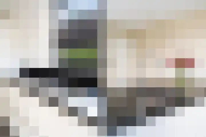 Casembrootlaan 5 C Poeldijk thumbnail 30