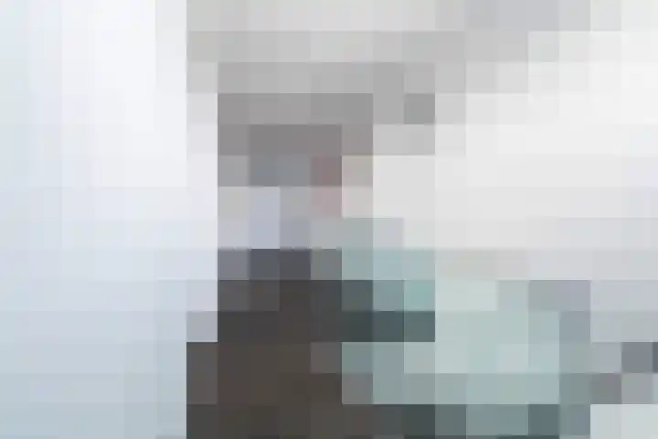 Casembrootlaan 5 C Poeldijk thumbnail 39